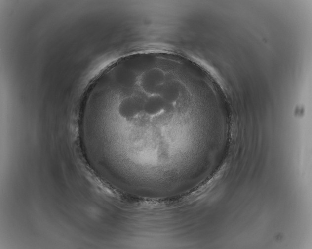 X0000097911407200803141407