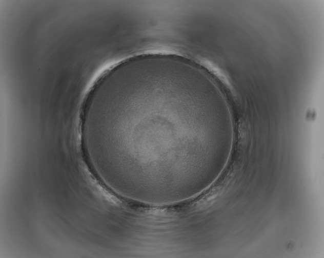 X0000097911408200803141407