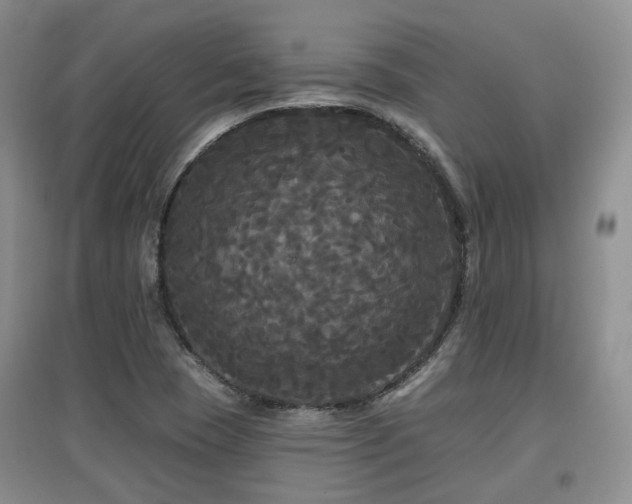 X0000097911409200803141407