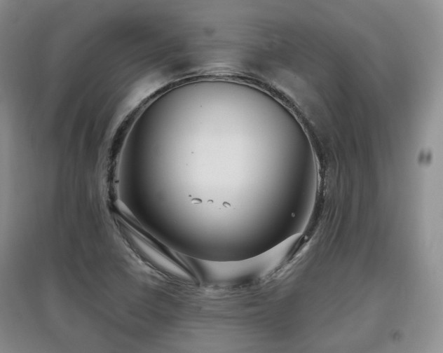 X0000097911410200803141407
