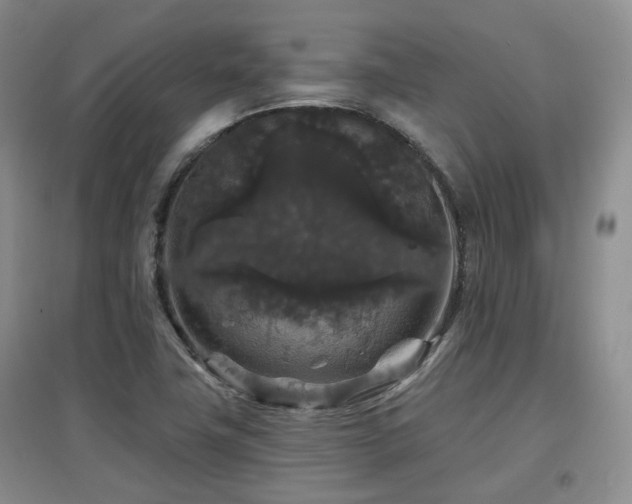 X0000097911411200803141407