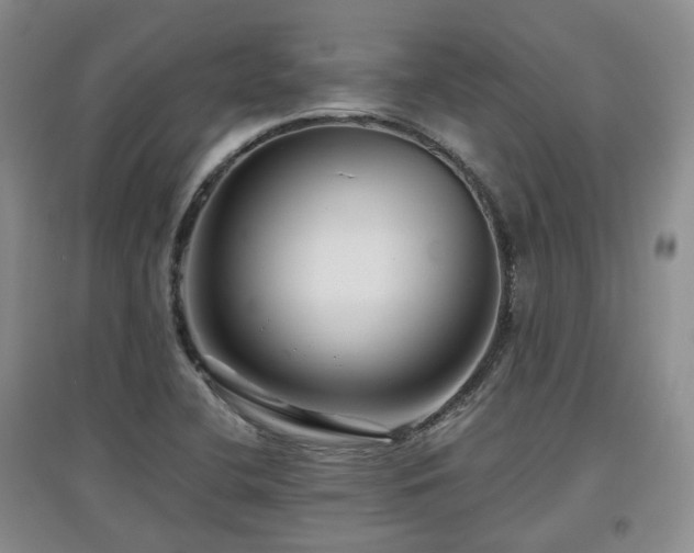 X0000097911412200803141407