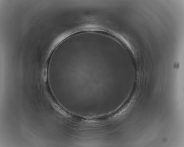 X0000097911413200803141408