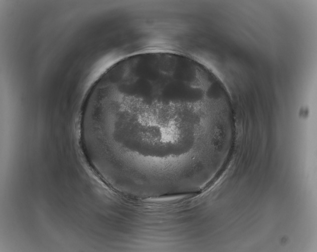 X0000097911415200803141408