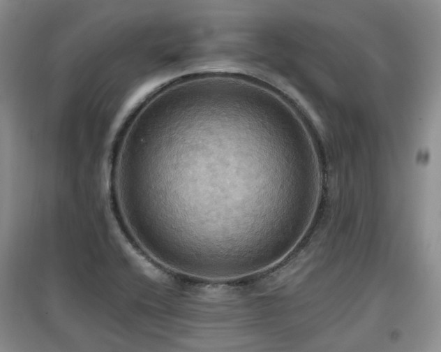 X0000097911416200803141408