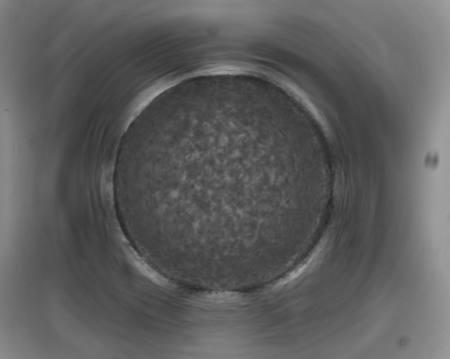 X0000097911417200803141408