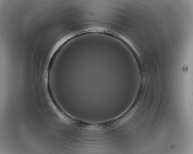 X0000097911418200803141408