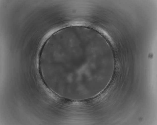 X0000097911419200803141408