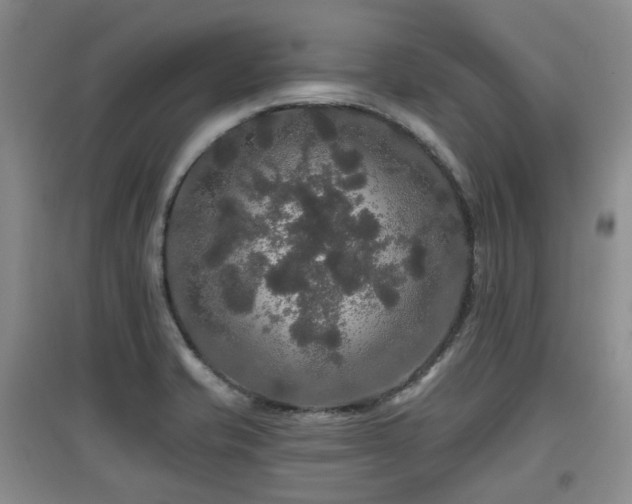 X0000097911421200803141408