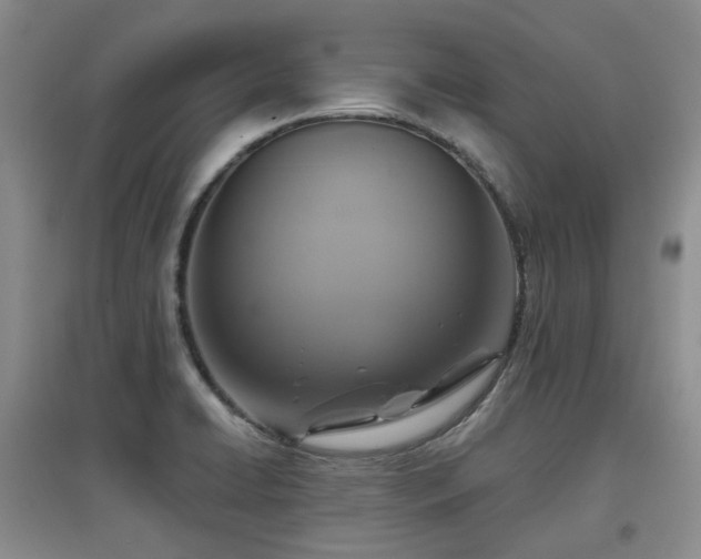 X0000097911422200803141408