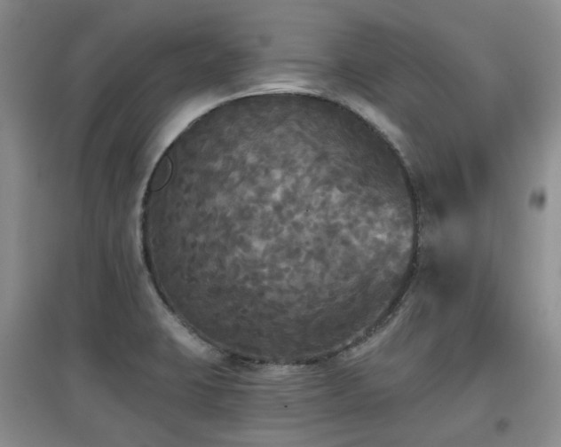 X0000097911423200803141408