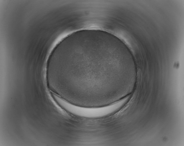 X0000097911424200803141408