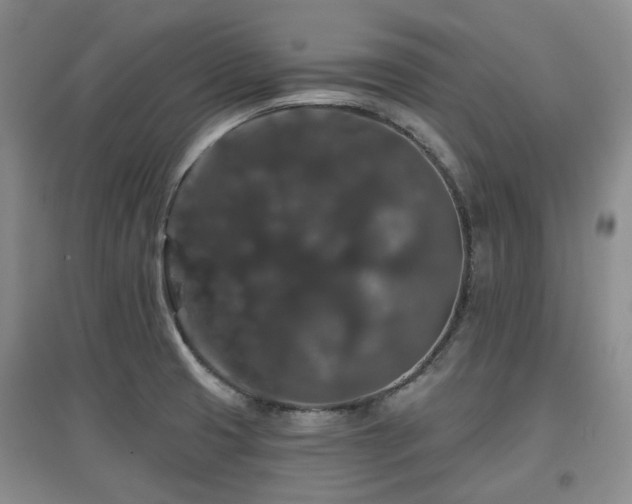 X0000097911425200803141408