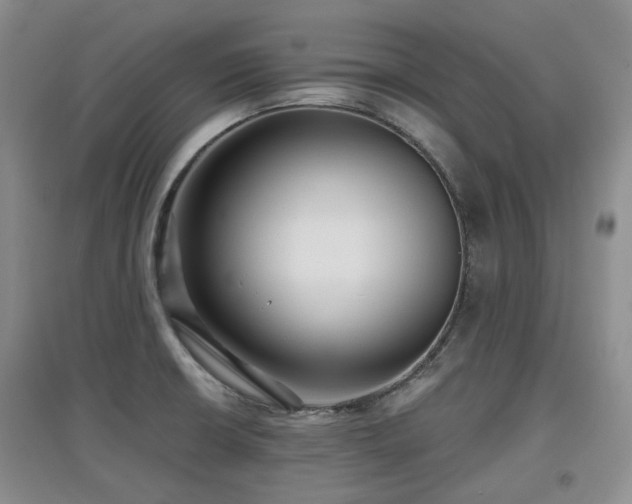X0000097911426200803141408
