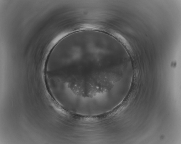 X0000097911427200803141408