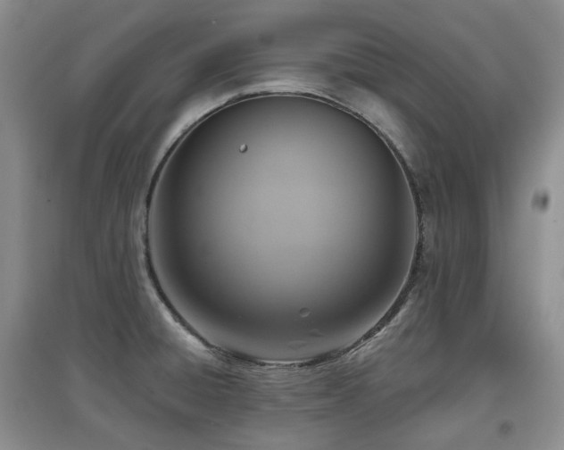 X0000097911428200803141408