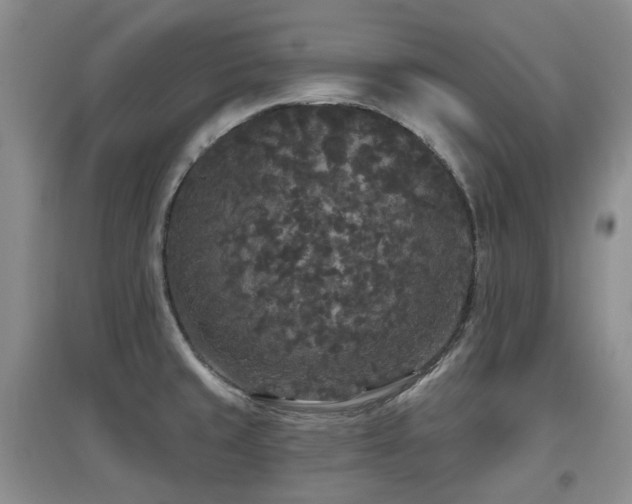 X0000097911429200803141408