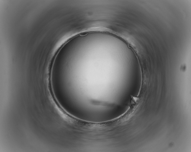 X0000097911430200803141408