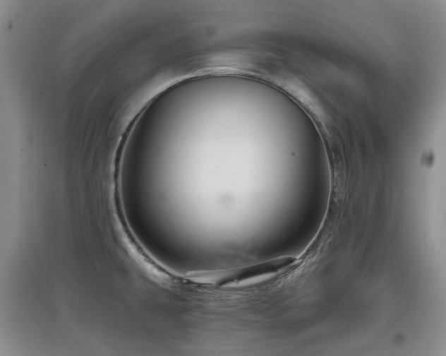 X0000097911431200803141408