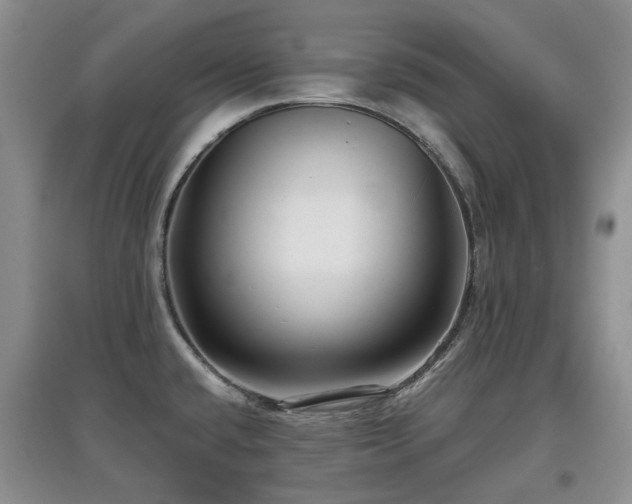X0000097911432200803141408