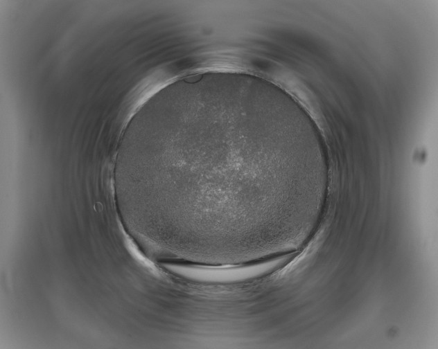 X0000097911433200803141408