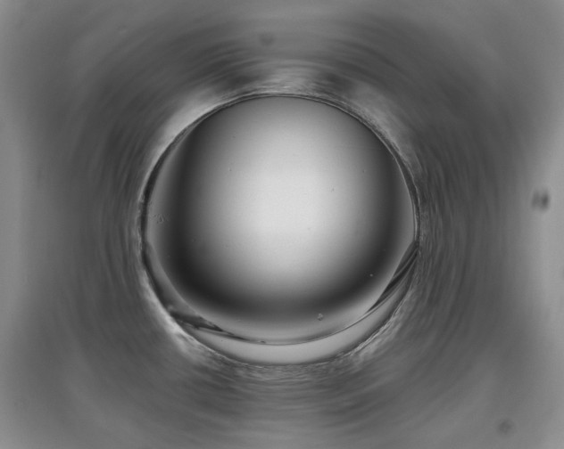 X0000097911434200803141408