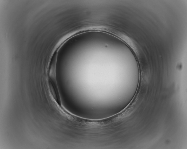 X0000097911436200803141408