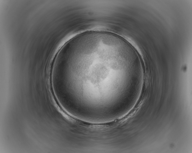 X0000097911437200803141408