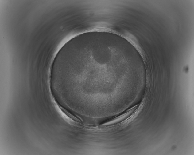 X0000097911438200803141408