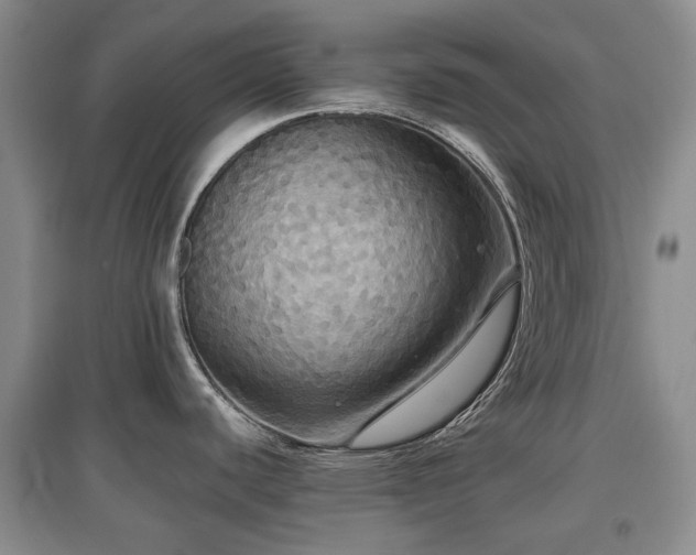 X0000097911440200803141408