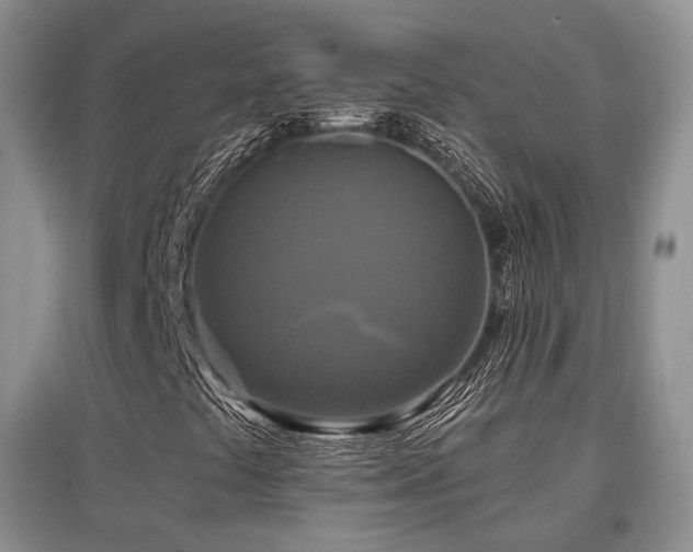 X0000097911441200803141407