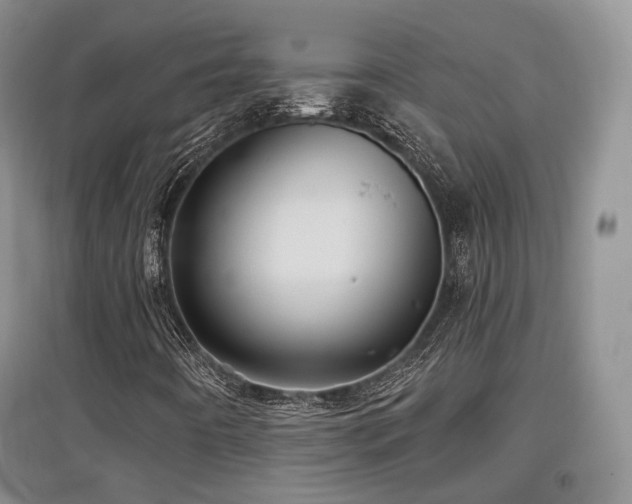 X0000097911442200803141407