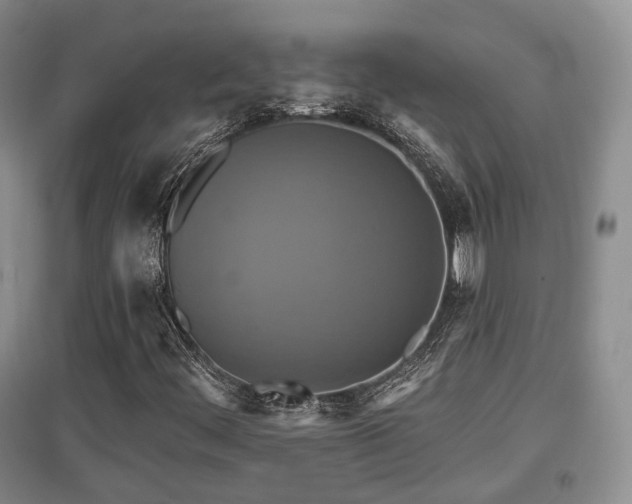 X0000097911444200803141407