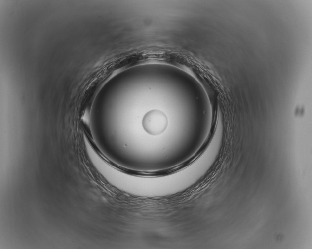 X0000097911445200803141407