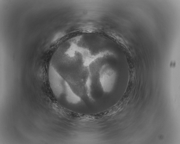X0000097911446200803141407