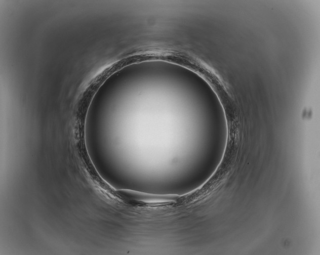 X0000097911448200803141407