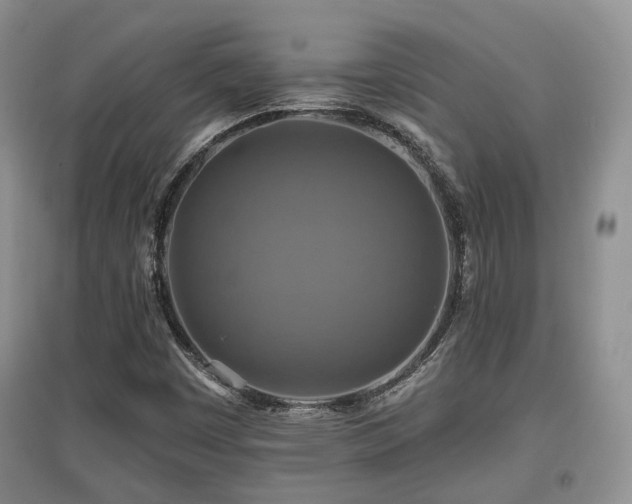 X0000097911449200803141407