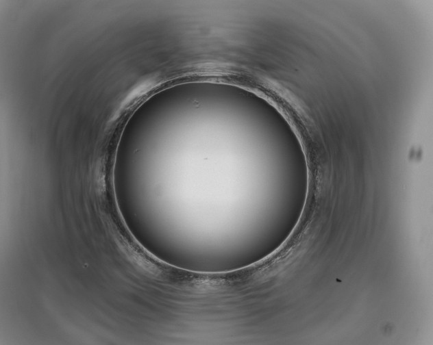 X0000097911451200803141407
