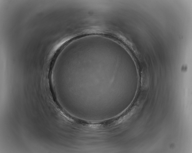 X0000097911453200803141407
