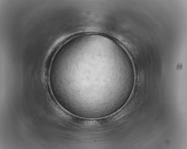 X0000097911454200803141407