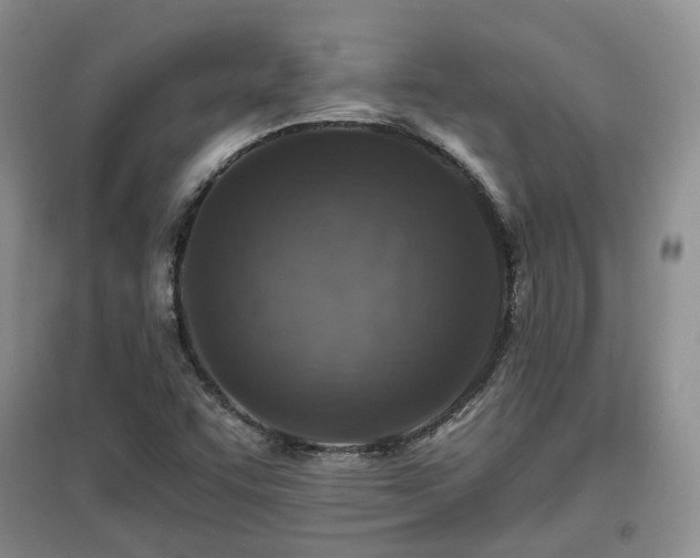 X0000097911455200803141407
