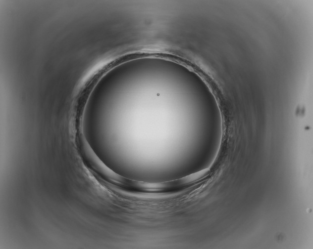 X0000097911456200803141407