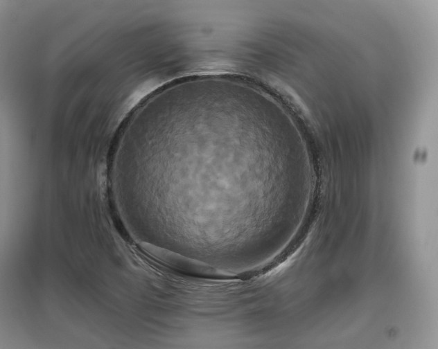 X0000097911457200803141407