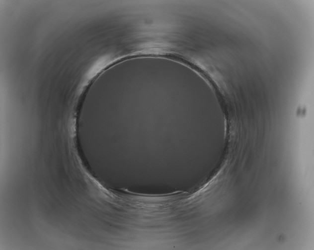 X0000097911459200803141407