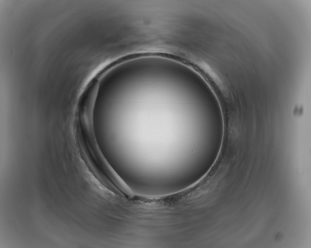 X0000097911460200803141407