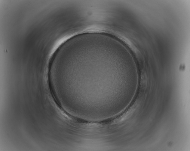X0000097911461200803141407
