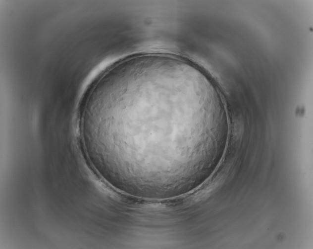 X0000097911462200803141407