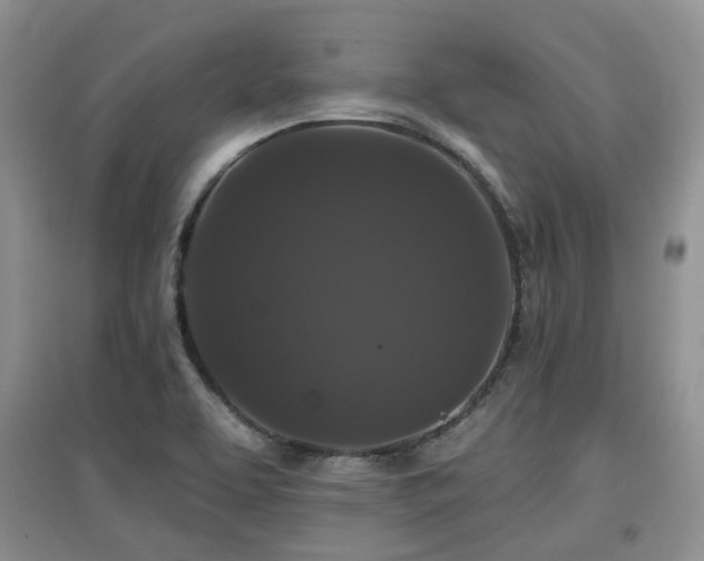 X0000097911463200803141407