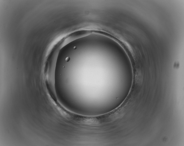 X0000097911464200803141407
