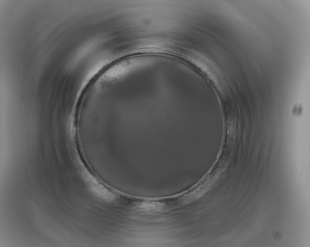 X0000097911466200803141407